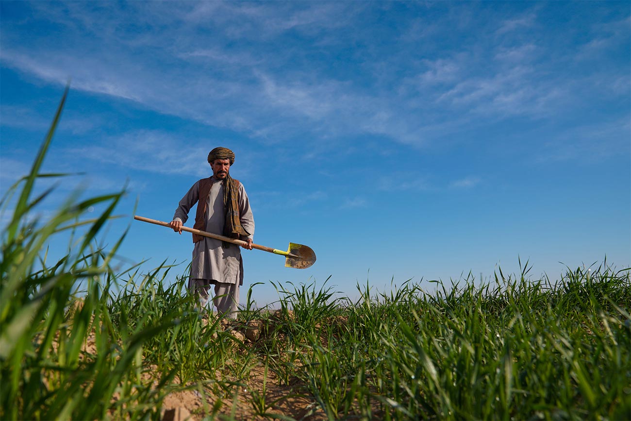 Project: Community-Based Climate-Responsive Livelihoods and Forestry (CCLF)